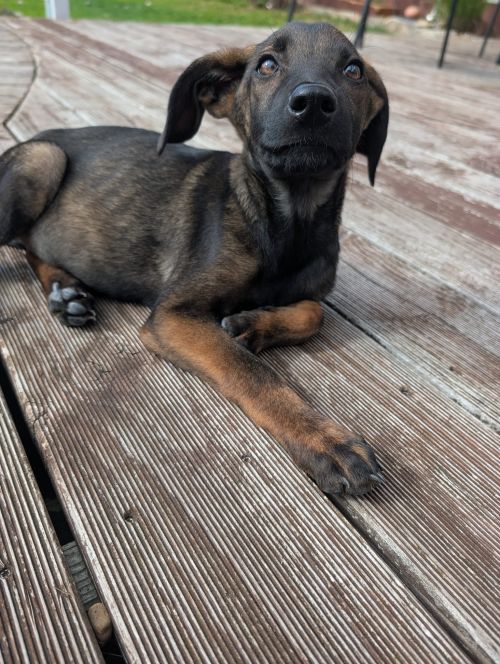 Luna